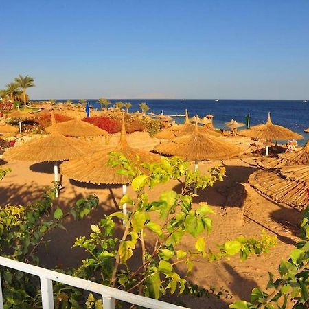 Carlton Luxury Villa Sharm el-Sheikh Bagian luar foto